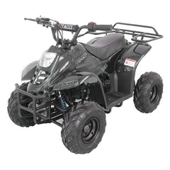 Regency HAWK 6 110cc ATV - New colors Foot Brakes For Kid 12-Year-old and Up -CARB