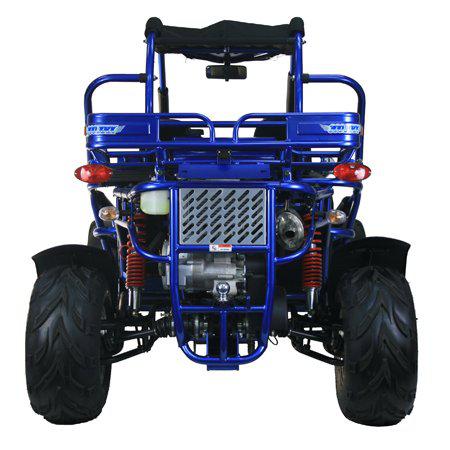 TrailMaster 300 XRXE Go Kart - Buggy for Sale | MotoBuys