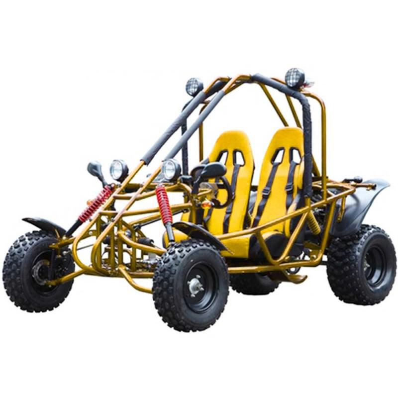 Yamobuggy RLGK-200R Go Kart - Dune Buggy for Sale | MotoBuys